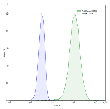 CD146/MUC18/MCAM Mouse Monoclonal Antibody
