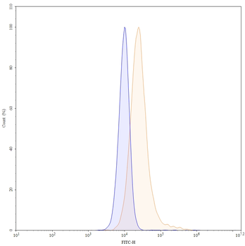 CD120b/TNFRSF1B/TNFR2 Mouse Monoclonal Antibody