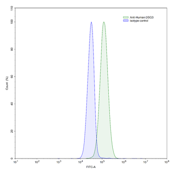 DSG3 Mouse Monoclonal Antibody