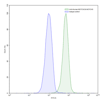 NOTCH2/3 Human Monoclonal Antibody