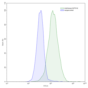 NOTCH2/3 Human Monoclonal Antibody