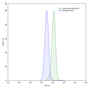 NOTCH2/3 Human Monoclonal Antibody