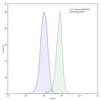 NOTCH2/3 Human Monoclonal Antibody