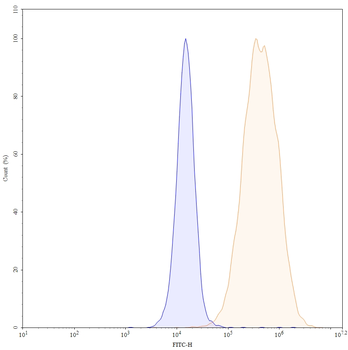 CD10/MME Mouse Monoclonal Antibody