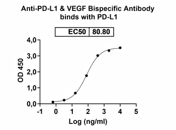 PD-L1/VEGF Human Monoclonal Antibody