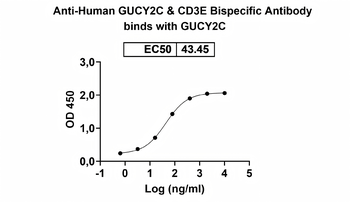 GUCY2C & CD3E Bispecific Monoclonal Antibody