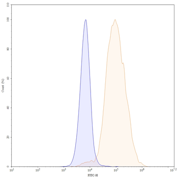 Verzistobart Human Monoclonal Antibody