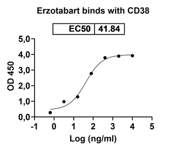 Erzotabart Human Monoclonal Antibody