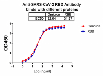 SARS-CoV-2 RBD Human Monoclonal Antibody
