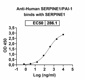 SERPINE1/PAI-1 Human Monoclonal Antibody