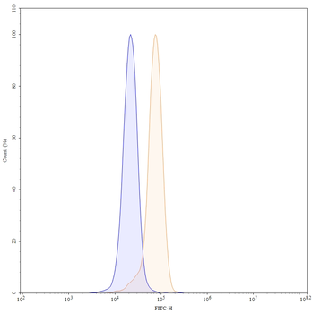 OSM/Oncostatin-M Human Monoclonal Antibody