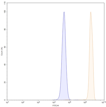 MMP14 Human Monoclonal Antibody