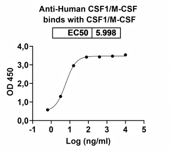 CSF1/M-CSF Human Monoclonal Antibody
