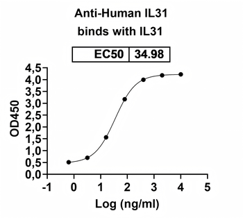 IL31 Human Monoclonal Antibody