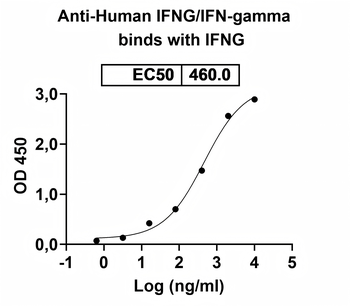 IFNG/IFN-gamma Human Monoclonal Antibody