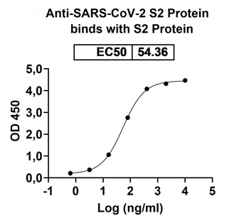 SARS-CoV-2 S2 Human Monoclonal Antibody