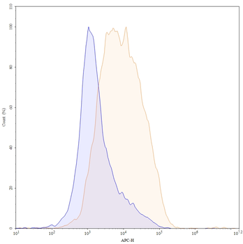 CLDN18.2 Human Monoclonal Antibody
