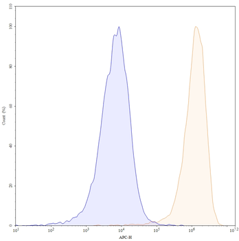 CLDN18.2 Human Monoclonal Antibody