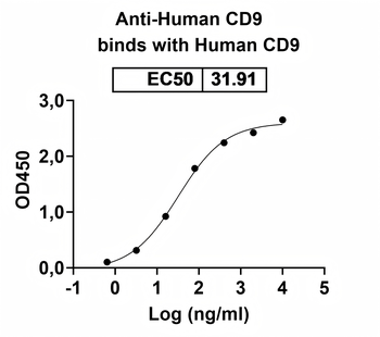 CD9 Human Monoclonal Antibody