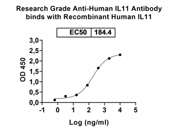 IL11 Human Monoclonal Antibody
