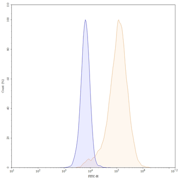 VSIG4/CRIg Human Monoclonal Antibody