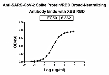 SARS-CoV-2 Spike Protein / RBD Human Monoclonal Antibody
