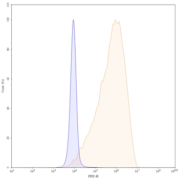 Ozuriftamab Human Monoclonal Antibody