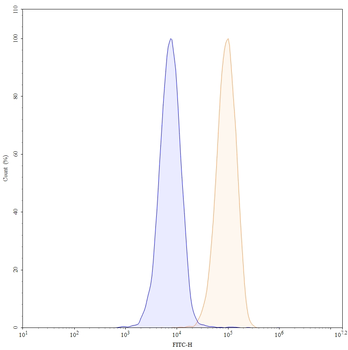 Ivicentamab Human Monoclonal Antibody