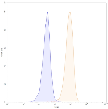 Ivicentamab Human Monoclonal Antibody