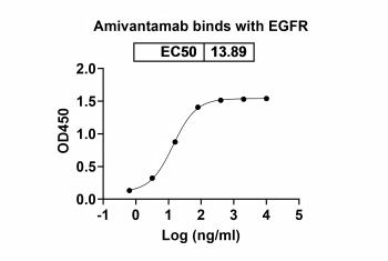 Amivantamab Biosimilar Antibody, Research Grade (EGFR/c-Met)