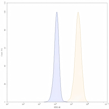 Amivantamab Biosimilar Antibody, Research Grade (EGFR/c-Met)