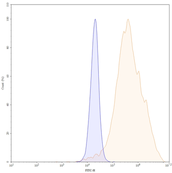 Panitumumab Human Monoclonal Antibody