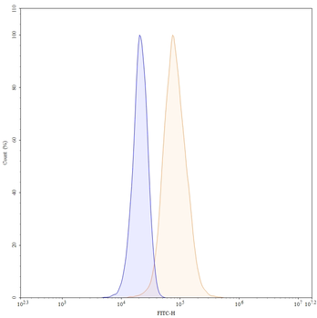 Bevacizumab Human Monoclonal Antibody