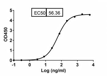 antibody Human Monoclonal Antibody