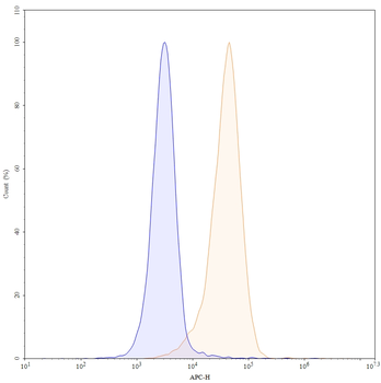 CD146/MUC18/MCAM Human Monoclonal Antibody