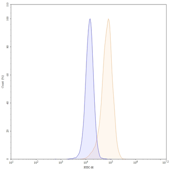 CD146/MUC18/MCAM Human Monoclonal Antibody
