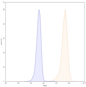 CD146/MUC18/MCAM Human Monoclonal Antibody