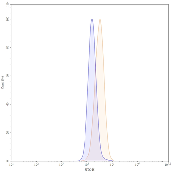 Tilvestamab Human Monoclonal Antibody