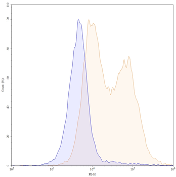 Petosemtamab Human Monoclonal Antibody