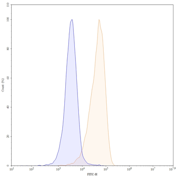 Epratuzumab Human Monoclonal Antibody