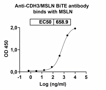 CDH3/MSLN BiTE Antibody