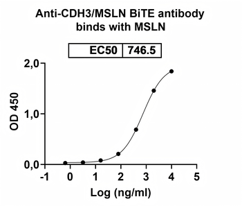 CDH3/MSLN BiTE Antibody