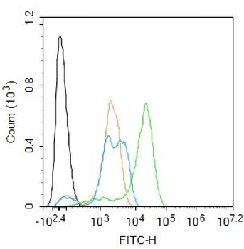 Lactoferrin Rabbit Polyclonal Antibody