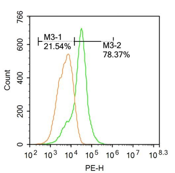 Lactoferrin Rabbit Polyclonal Antibody