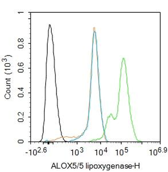 ALOX5 Rabbit Polyclonal Antibody