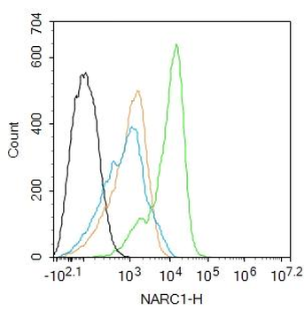 NARC1/PCSK9 Rabbit Polyclonal Antibody