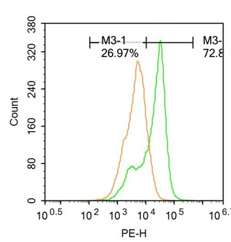 SDHB Rabbit Polyclonal Antibody