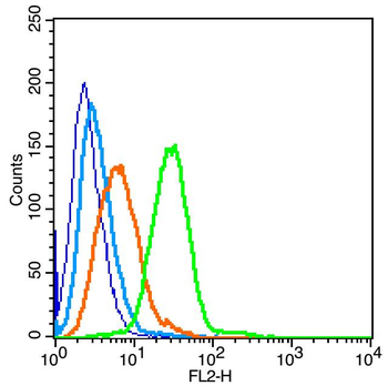 IGF2R/M6PR Rabbit Polyclonal Antibody