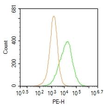 EDG3 Rabbit Polyclonal Antibody