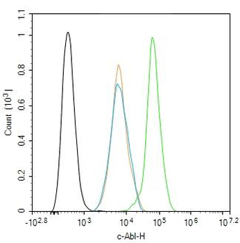 C-Abl Rabbit Polyclonal Antibody